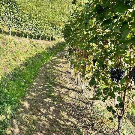 Valtellinda