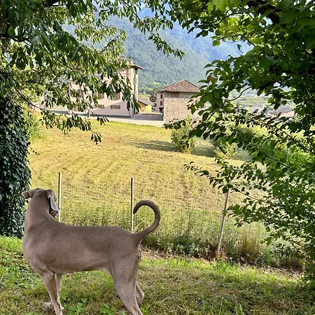 Ferienhaus Valtellinda *