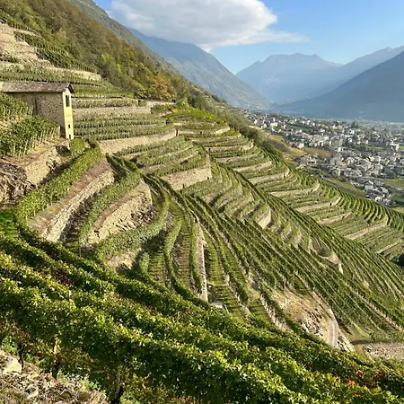 Valtellinda