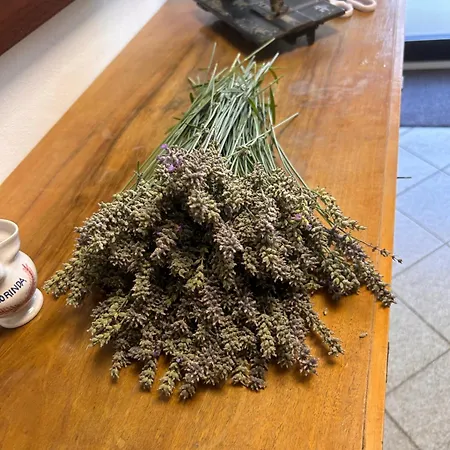 Casa vacanze Valtellinda