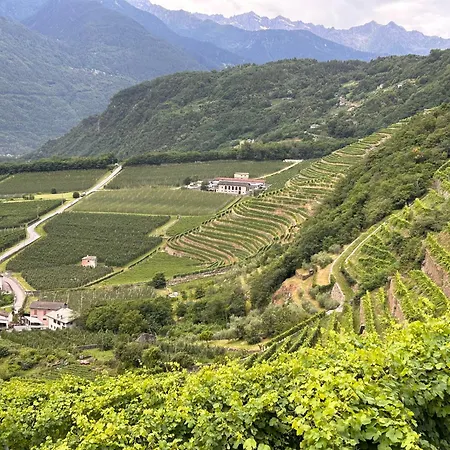 Valtellinda Casa vacanze Bianzone