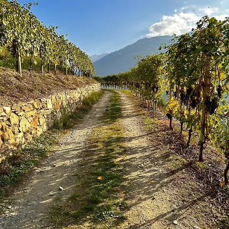 Valtellinda 펜션