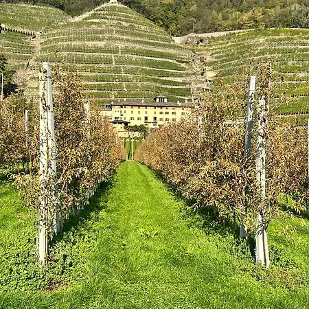 Valtellinda Bianzone