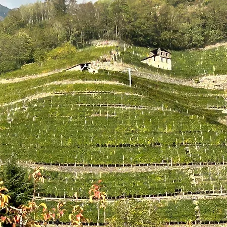 Valtellinda 펜션 *