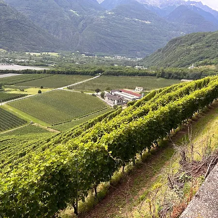 Valtellinda *