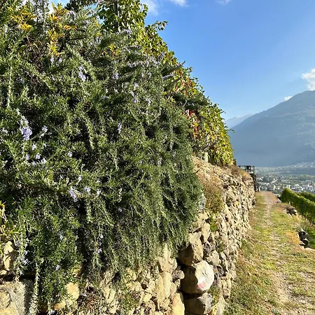 Casa vacanze Valtellinda *