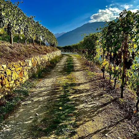 Valtellinda Casa vacanze