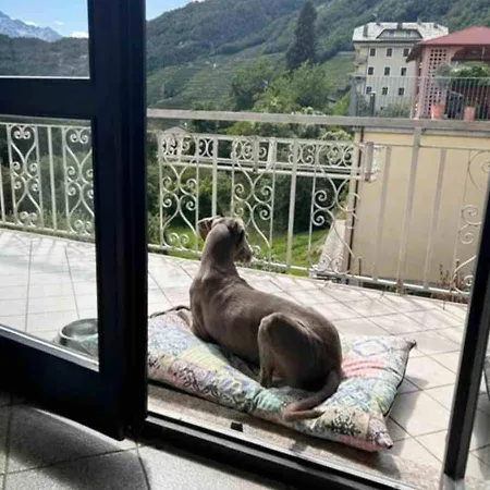 Tatil Evi Valtellinda